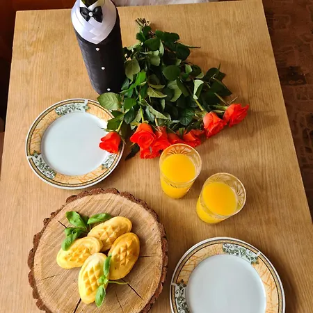 Bed & Breakfast U Anny *